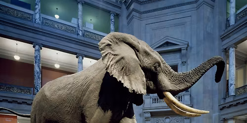 Scavenger Hunt of the Smithsonians