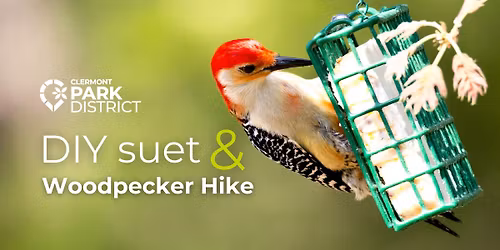 DIY Suet & Woodpecker Hike