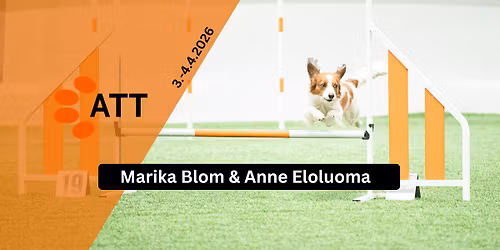 ATT:n P\u00e4\u00e4si\u00e4iskisat 2026