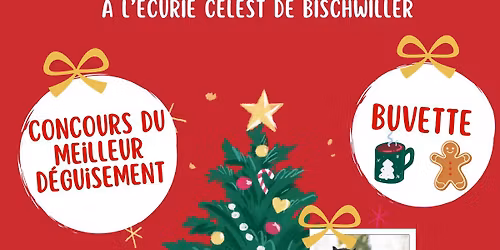 Concours Equifeel sp\u00e9cial No\u00ebl
