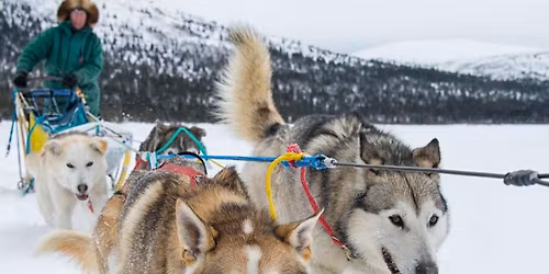 HUSKY TREK ADVENTURE