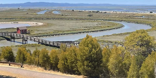 Stewardship Sunday at the Don Edwards SF Bay National Wildlife Refuge