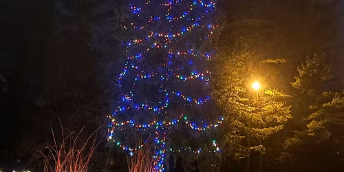 Lights of Spiegel Grove