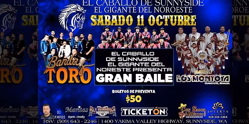 BANDA LOS MONTOYA, BANDA TORO & MAS