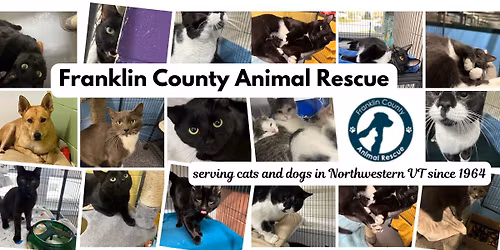 Franklin County Animal Rescue Kennel LockUp!