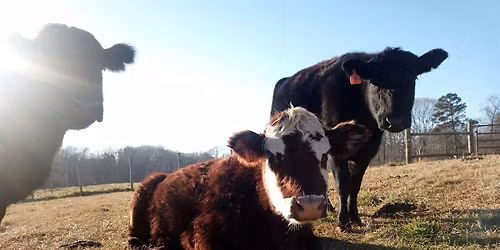 Sunset Tour @ The Ranch (BYOB)