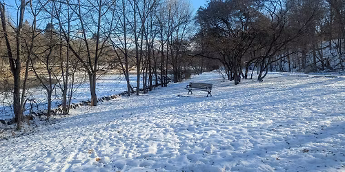 Winter Nature Walk - Humber River