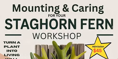 Staghorn Mounting Workshop