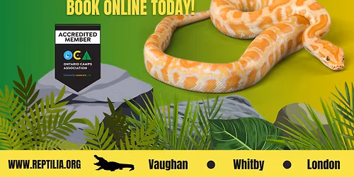 March Break Camp 2026!