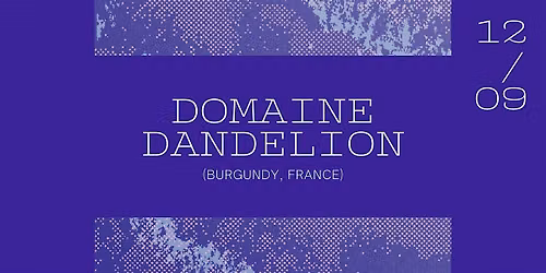 Domaine Dandelion, a little Burgundy secret
