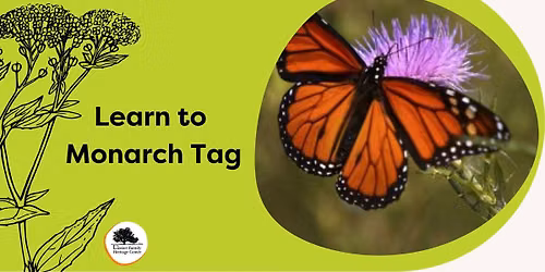 Learn to Monarch Tag 
