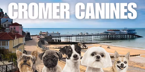 Fetch's Wellness (Beach) Walkies-Cromer Canines
