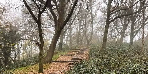 Nature walk: Hidden secrets of autumn