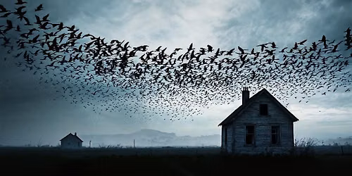 The Birds