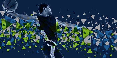 Minnesota Timberwolves vs. Memphis Grizzlies