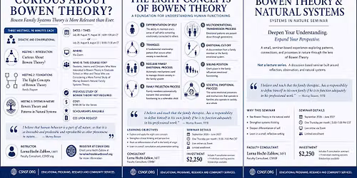Curious About Bowen Theory? A Three Session Course