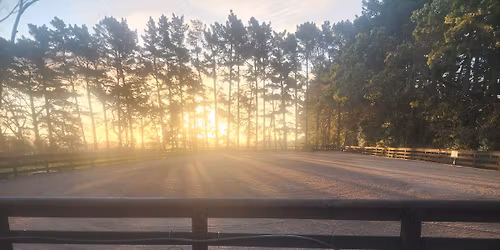 Pole work MORNING - HORSE FLOAT SPOTS ARE CURRENTLY FULL