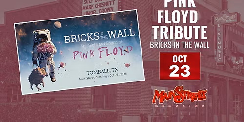 Pink Floyd Tribute called Bricks in The Wall | LIVE at Main Street Crossing