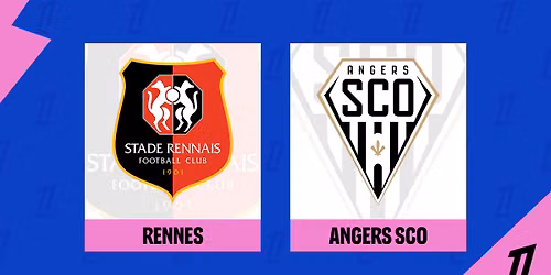 Lille vs Angers at Decathlon Arena