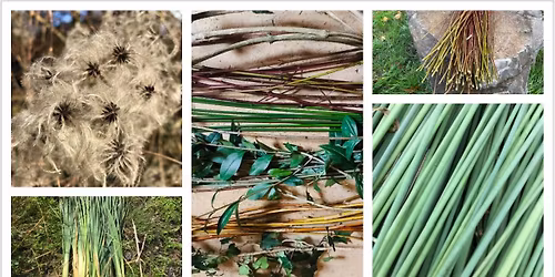 Balade \u00e0 la d\u00e9couverte des esp\u00e8ces v\u00e9g\u00e9tales \u00e0 tresser