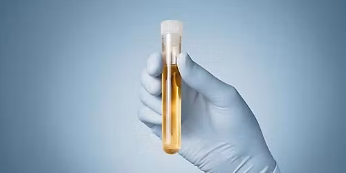 Ervexia 2026 North LA Safety Conference