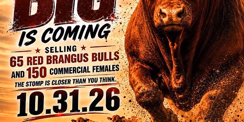 BREEDERS CHOICE RED BRANGUS BULL SALE