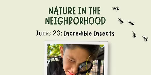 Nature in the Neighborhood | Incredible Insects
