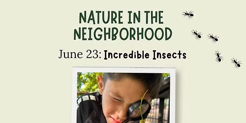 Nature in the Neighborhood | Incredible Insects