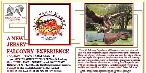 The NJ Falconry Experience