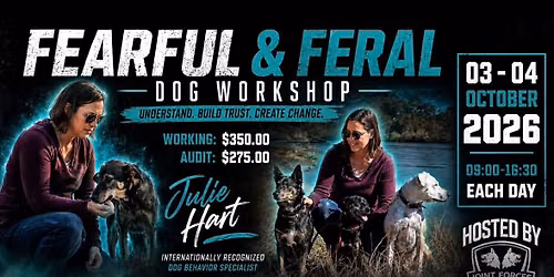 Fearful and Feral Dog Workshop