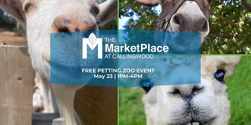 Free Petting Zoo at Callingwood