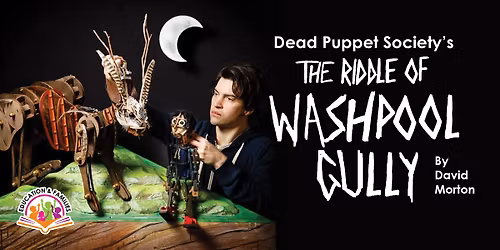 The Riddle of Washpool Gully