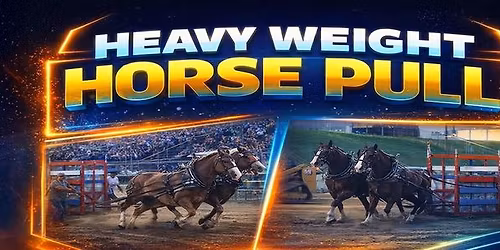 Heavy Weight Horse Pull