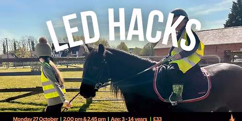 Led Hack (Pony Ride)