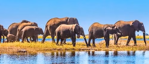 Extraordinary Travel Experiences