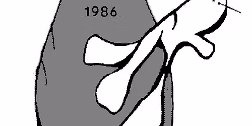 Rallytokokoe (iltakisa ALO\/MES)