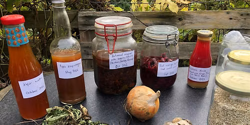 Microbiomes: Supporting Soil Health and Our Health  with Nourish the Wild
