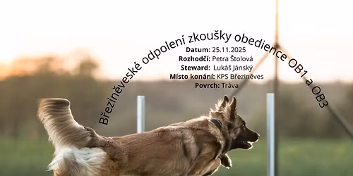 B\u0159ezin\u011bvesk\u00e9 odpolen\u00ed zkou\u0161ky obedience OB-Z, OB1 a OB3