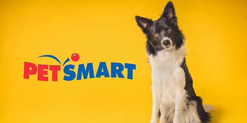 PetSmart Adoption Event at Montgomery Plaza (Weekly on Wednesday's)