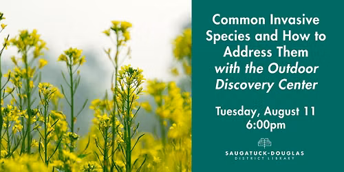 How to Address Common Invasive Species