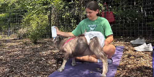 Lower Gwynedd Township Bottle Feeding & Snuggle Time