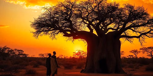 \ud83c\uddf8\ud83c\uddf3 FESTIVAL AFRICAIN NDADJE