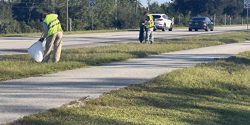 Taylor Lane Cleanup