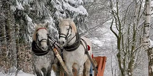 KARNAWA\u0141OWY KULIG