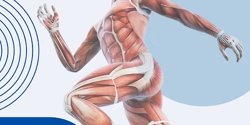 4th Egyptian Congress of Musculoskeletal, Neuromuscular & Spine Ultrasound ( ESMNS )