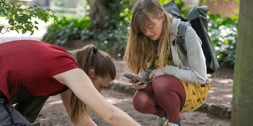 Nature Counts - Castle Grounds at Tamworth Castle