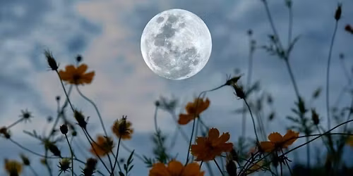 \ud83c\udf15\u2728C\u00e9r\u00e9monie Cacao, Kundalini & Voyage Chamanique, Pleine Lune des Fleurs\u2728\ud83c\udf38