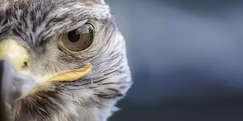 PIOMBO NEMICO INVISIBILE