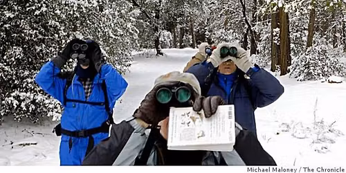 Annual Christmas Bird Count Dec. 20th