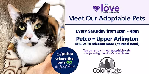 Adoption Event Saturdays at Petco UA